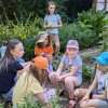 Ferienspaß im Bauerngarten